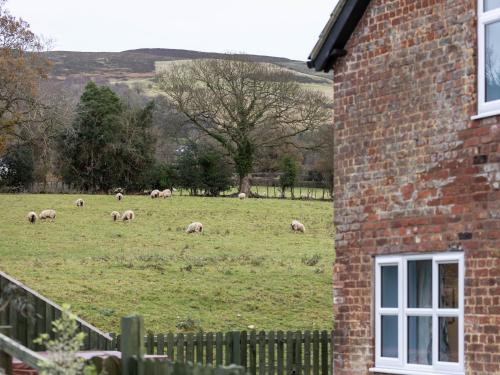 Clwyd Cottage - Two Bed, Barn Conversion with Private Hot Tub