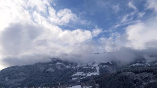 Bonapart in Stumm, Österreich