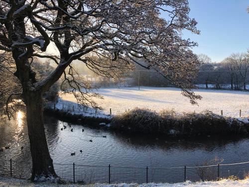 Millbrook - image 7