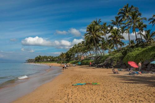 Palms at Wailea Two Bedrooms by Coldwell Banker Island Vacations - image 12
