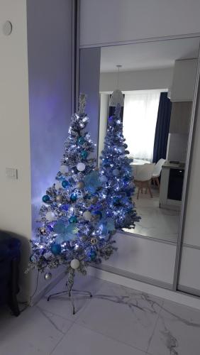 Luxury Apartment IVA, Skopje (Foto 4)