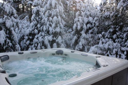Two-Bedroom Suite with Hot Tub