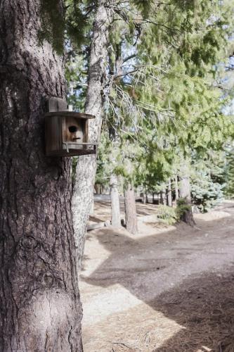 Cabin in the National Forest near Brian Head, Bryce Canyon and Zion