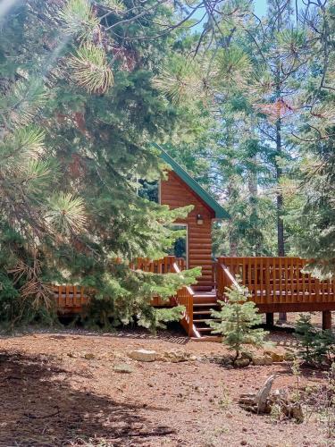 Cabin in the National Forest near Brian Head, Bryce Canyon and Zion