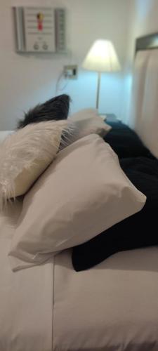 1 queen bed, 2 twin beds