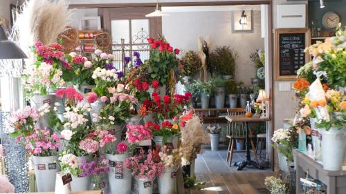 7 Rooms Hotel & Cafe | 去趣 chicTrip