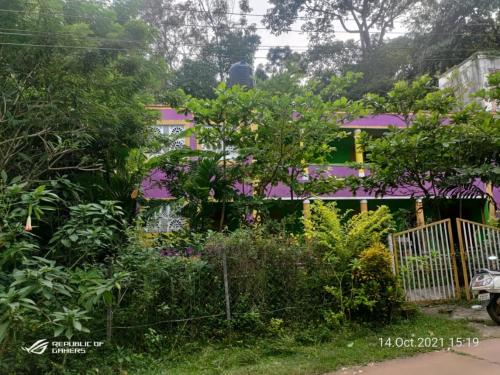 Dandeli Jungle homestay