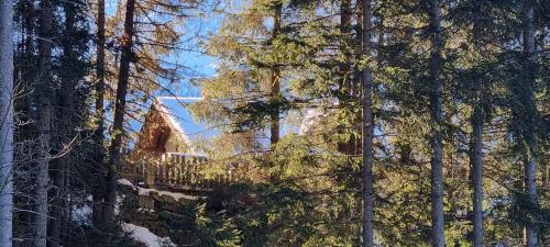 Ferienwohnung 3 Personen Alleinlage auf 1500m am Waldrand und Skigebiet Hochzeiger