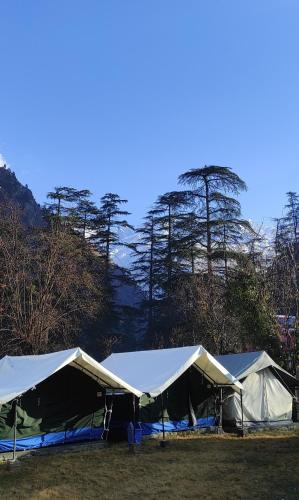 Kasol Village Camp