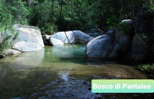 VISTA SU COLLINA