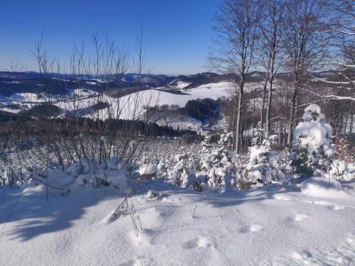 Gasthof Braun - image 12