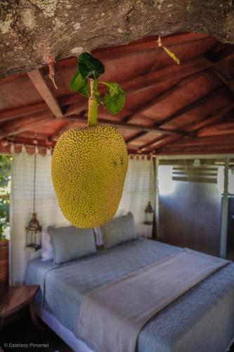 Lendas do Capão Pousada