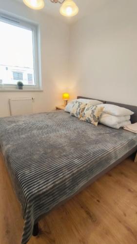 Apartament 10, Płock (fotografie 3)