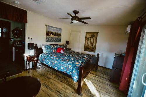 1 king bed