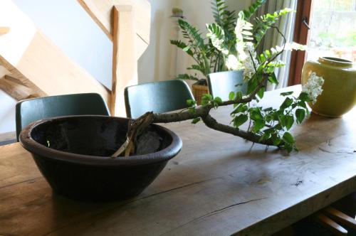 Le Menil, Manhay (fotografie 6)