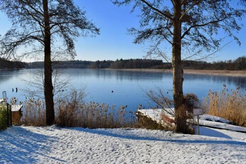 Modernes Ferienhaus mit Kamin und Sauna am Altdorfer See, Hunde sind herzlich Willkommen