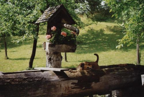 Kleines Ferienhaus Koglerhütte