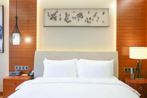 Holiday Inn Nanjing Xuanwu Lake, an IHG Hotel