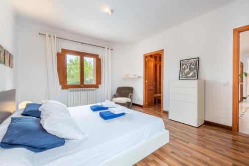 Villa Sa Punta des Far