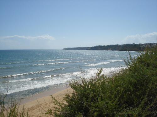 AtlanticSide