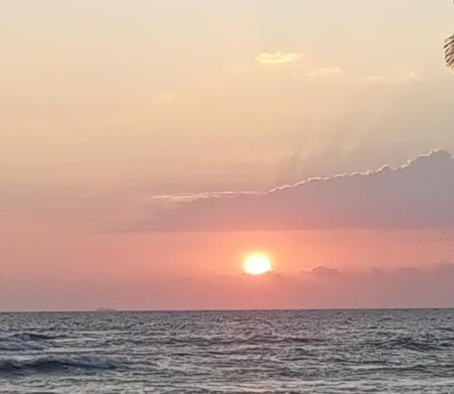 Rainbow Surf Beach Unawatuna