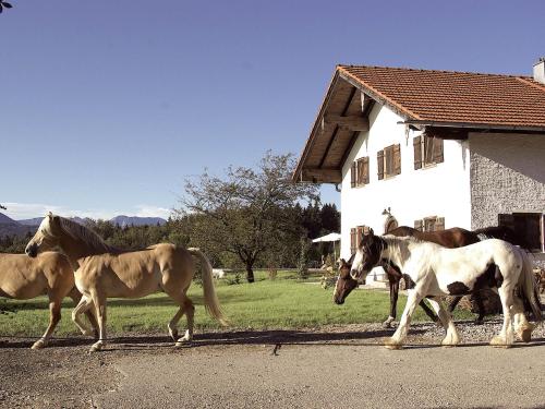 Huberhof in Wonneberg, Deutschland