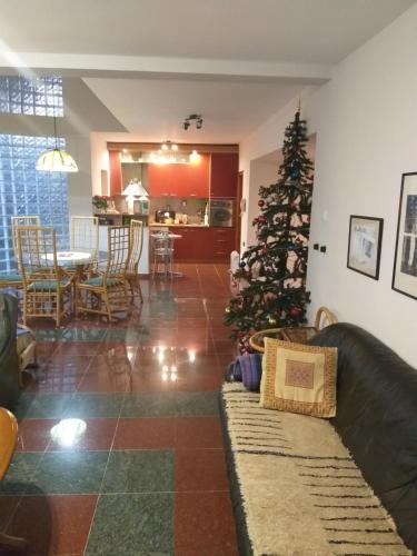 vila zelenac - image 9