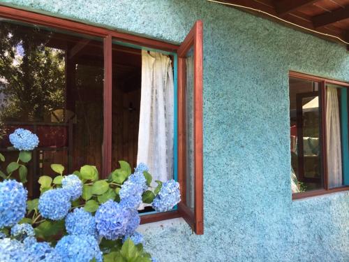Hostel Raíz – Pucon, MI