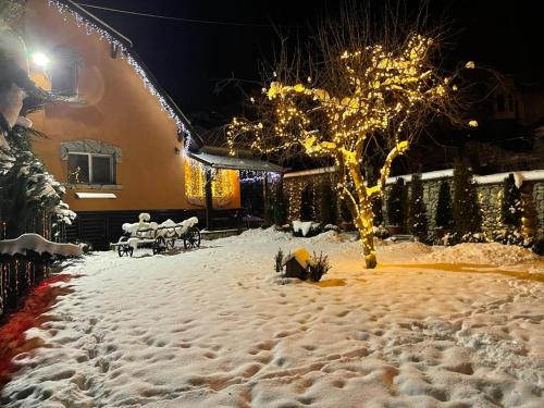 Vila Splendid, Lupeni (foto 10)