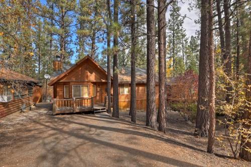 Sugar Bear Retreat