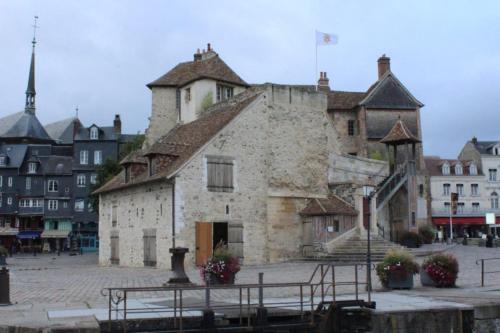 LE PANORAMA DES GLYCINES