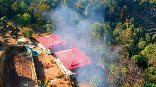 Forest home stay