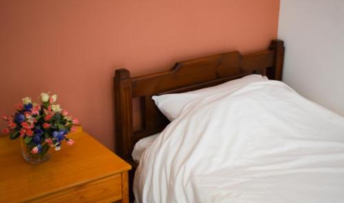 Poco Loco Bed & Breakfast - image 2