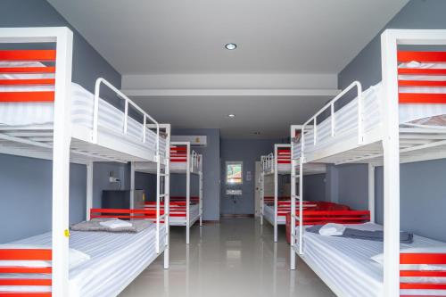 Little Paradise Room Type - 8-Bed Mixed Dormitory Room
