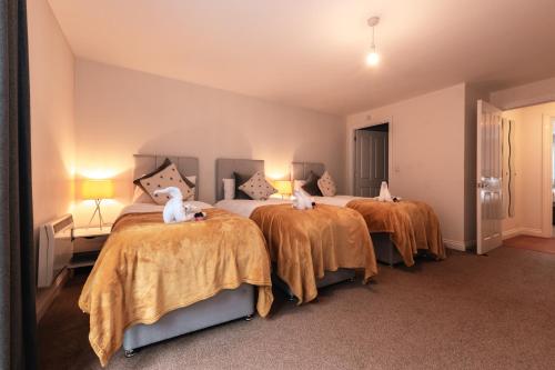 Picture of Best Price - Huge 3 Bed 2 Bath City Centre Top Floor Apartment, Up To 10 Guests - Free Secure Parkin