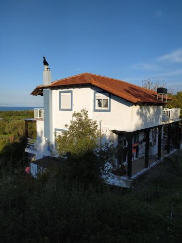  Alexandra Homestay in Kalavárda
