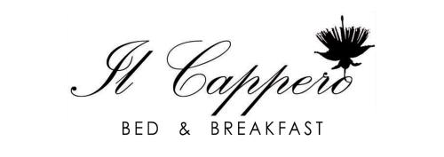 Bed and Breakfast Il Cappero - Accommodation - Rapolano Terme