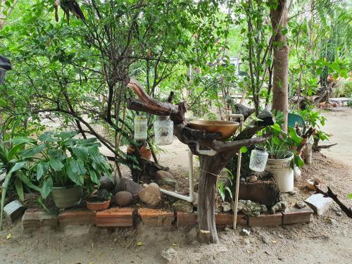 Alojamiento Casa de campo los Cactus