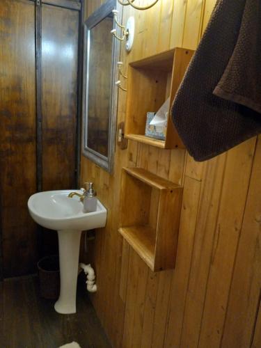 Bathroom, Modern Cabin in Black Forest (CO)