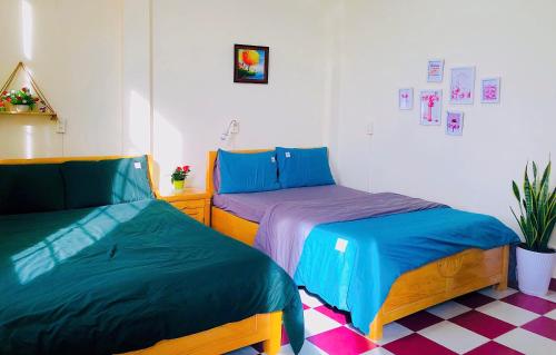 Nụ Cười Xinh – Dalat, IL