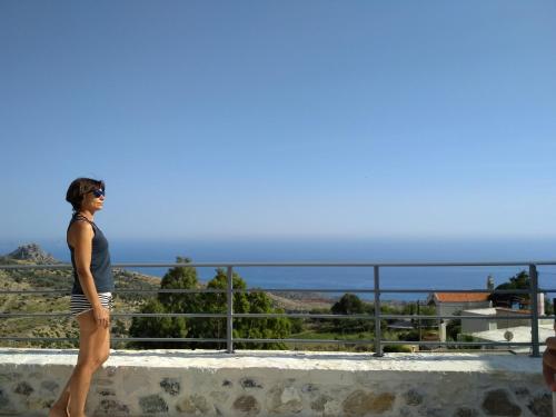 Villa Irena panoramic sea view