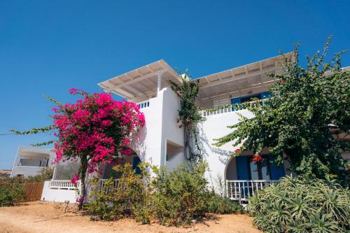Pothiti Studios in Donoussa