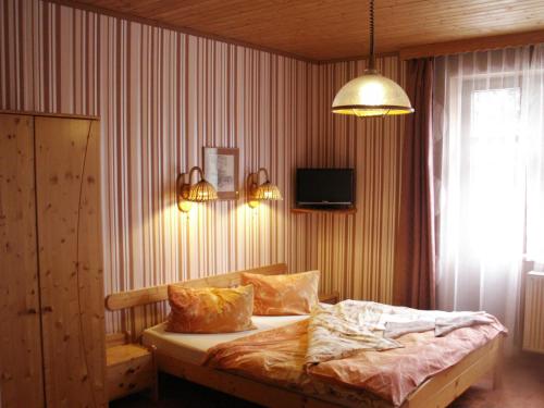 บริการและสิ่งอำนวยความสะดวก, Hotel Lesni dum in แจนสเก ลาซเน