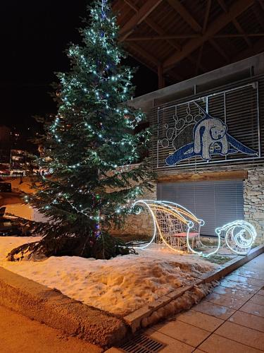 LE COSY aux pieds des pistes appartement avec balcon PLEIN CENTRE