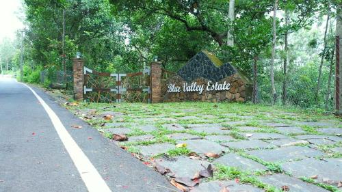 Blue Valley Estate-12 Acre Forest-Silver Oak-Villa