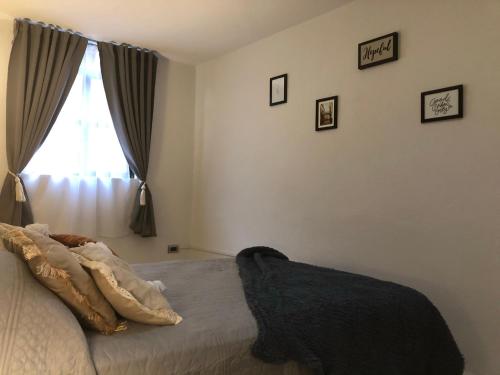 Loft Meraki with parking 7min to downtown, Guanajuato (fotografie 10)