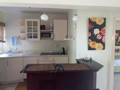 주방, 1 bedroom Penthouse Suite 63 at Mystic Ridge Resort in 오초 리오스