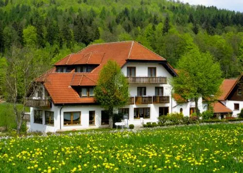 Rhön-Hotel Sonnenhof - in Poppenhausen, Deutschland