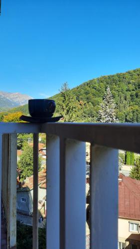 Apartament Erika Sinaia