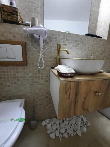 Apartament Erika Sinaia